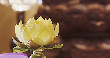 DSCF9541-橫-1.jpg